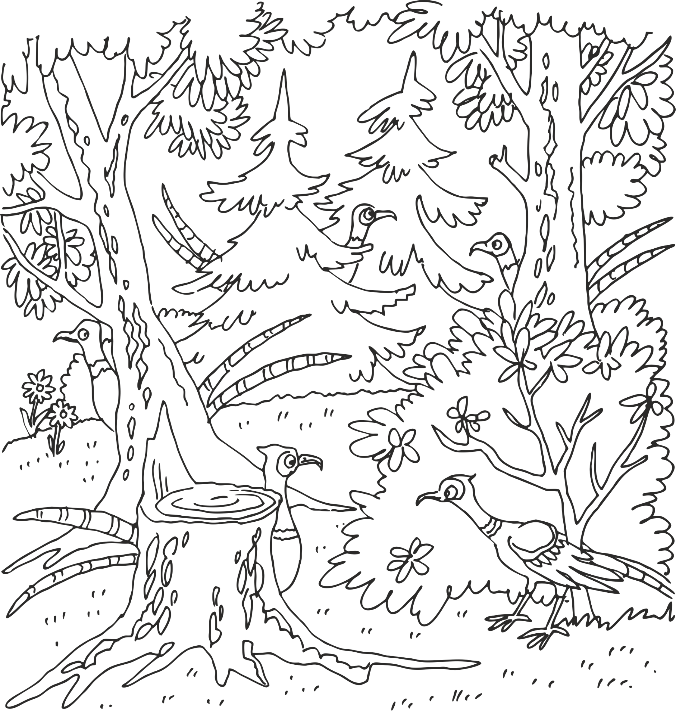 Поиск фазанов